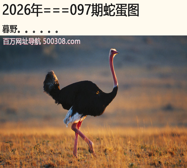 097���ߵ�ͼ��ĺҰ.....