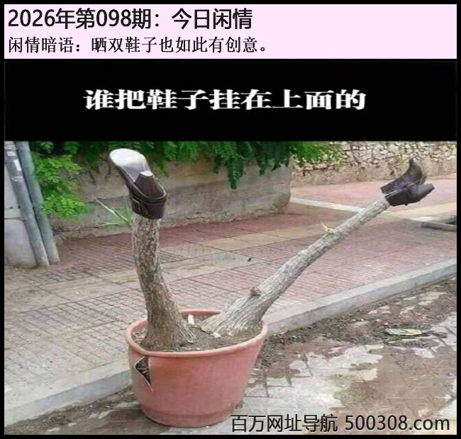 098�ڽ������飺ɹ˫Ь��Ҳ����д��⡣