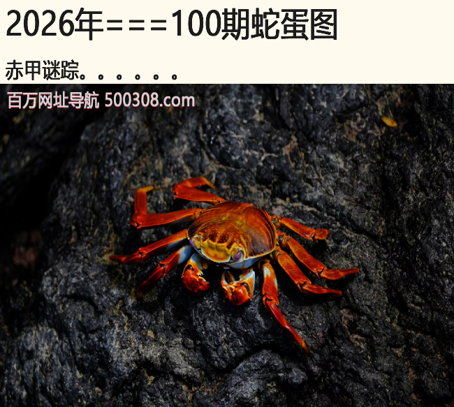 100���ߵ�ͼ���������.....