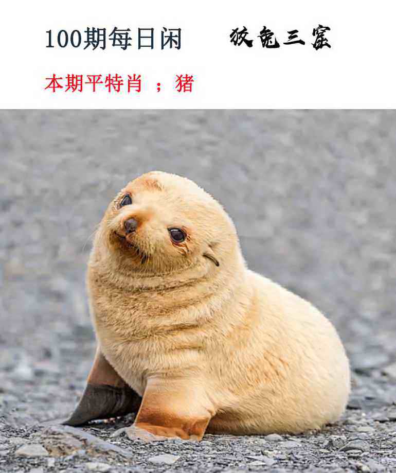 100�ڣ�ÿ������