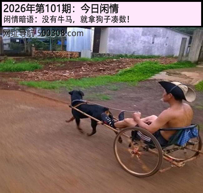 101�ڽ������飺û��ţ�������ù��Ӵ�����