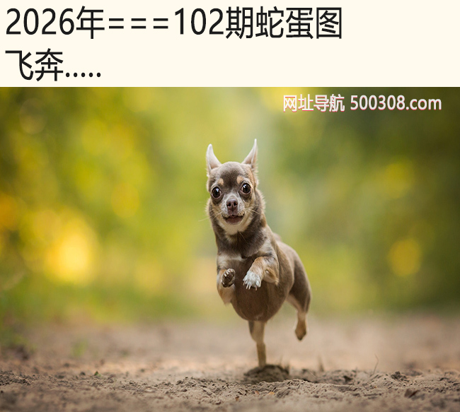 102���ߵ�ͼ���ɱ�.....