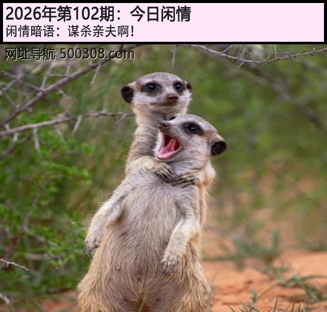 102�ڽ������飺ıɱ�׷򰡣�