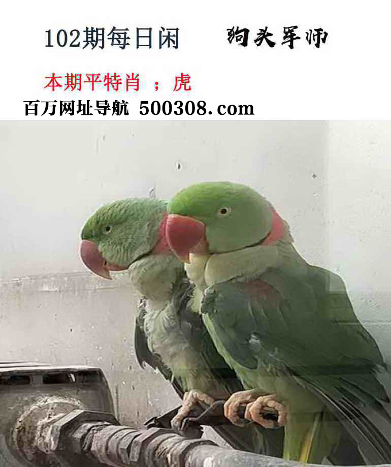 102�ڣ�ÿ������