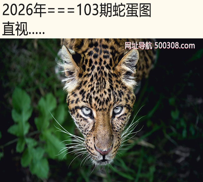 103���ߵ�ͼ��ֱ��.....