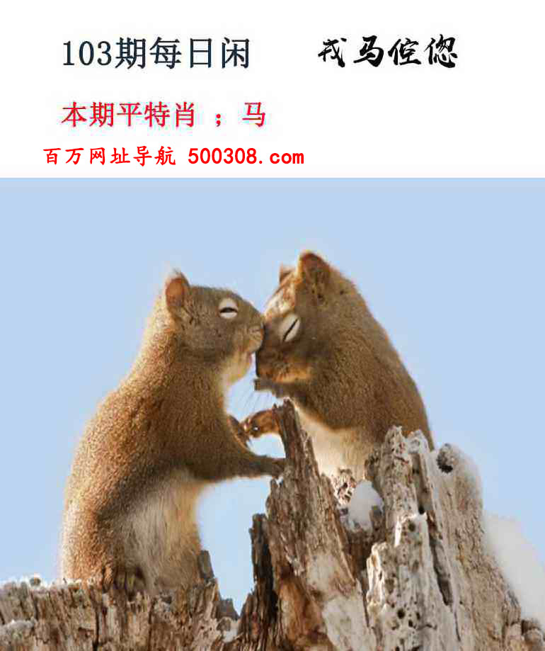 103�ڣ�ÿ������