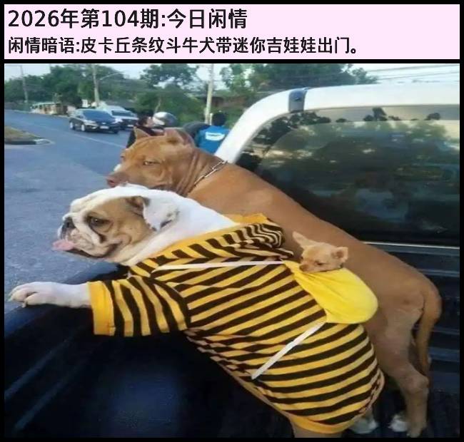 104�ڽ������飺Ƥ�������ƶ�ţȮ�����㼪���޳��š�