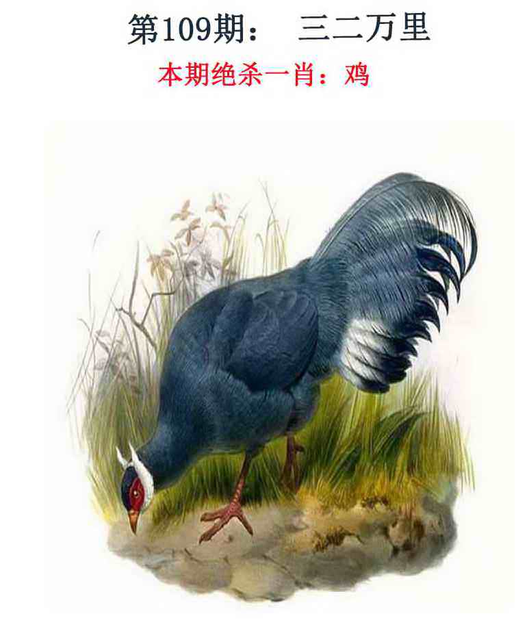 109�ڣ���Ǯ�������湦��