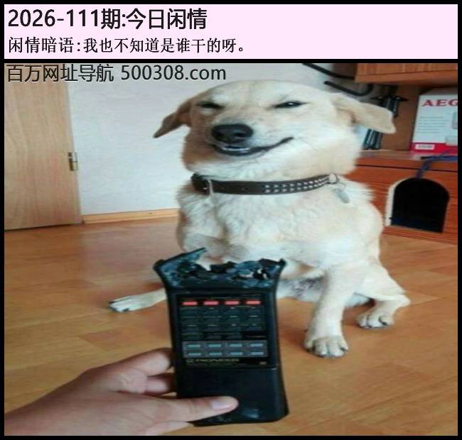 111�ڽ������飺��Ҳ��֪����˭�ɵ�ѽ��