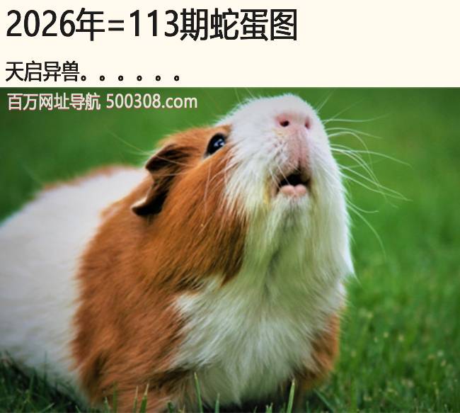 113���ߵ�ͼ����������.....