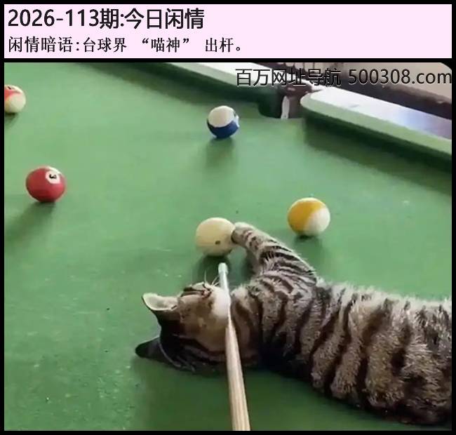 113�ڽ������飺̨���_������_���ˡ�
